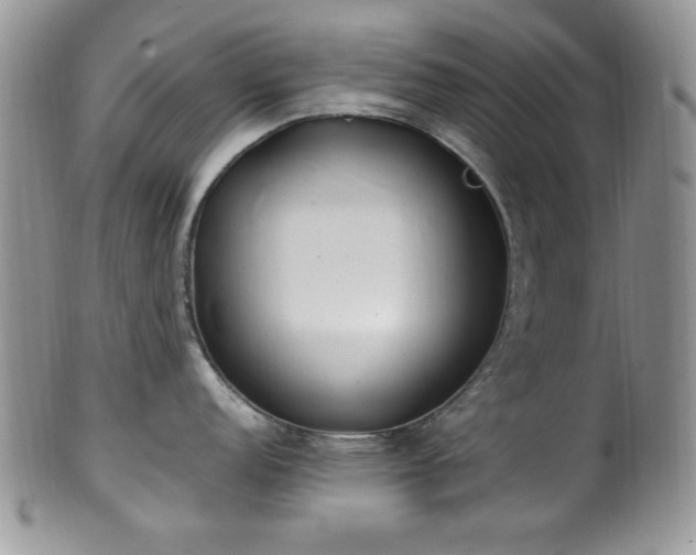 X0000100341152200806051532