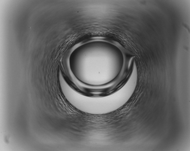 X0000100341153200806051531