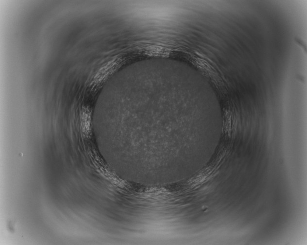 X0000100341154200806051531