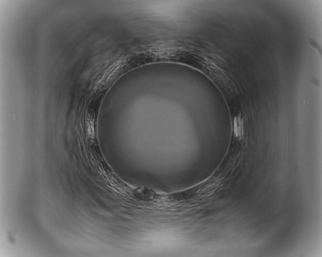 X0000100341155200806051531