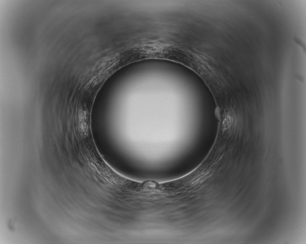 X0000100341156200806051531