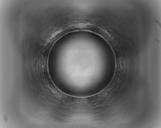 X0000100341158200806051531