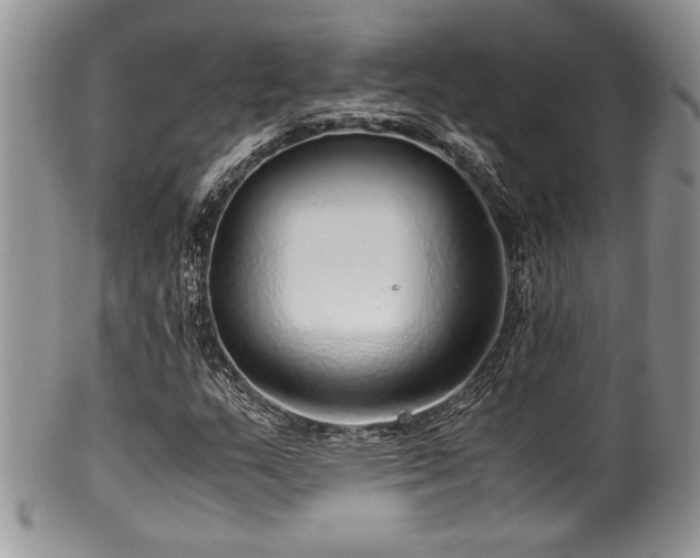 X0000100341159200806051531