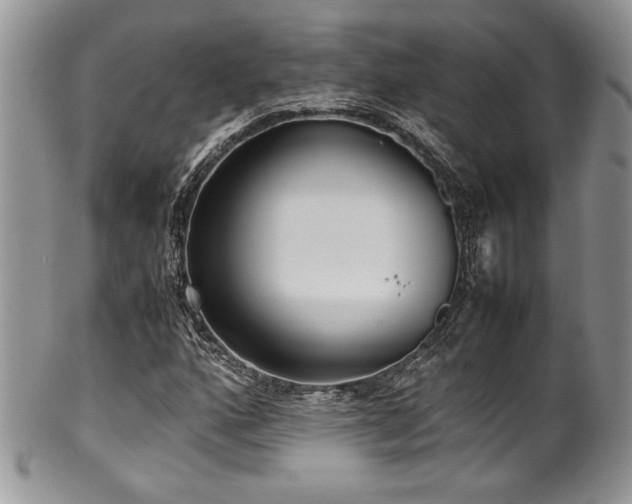 X0000100341160200806051531