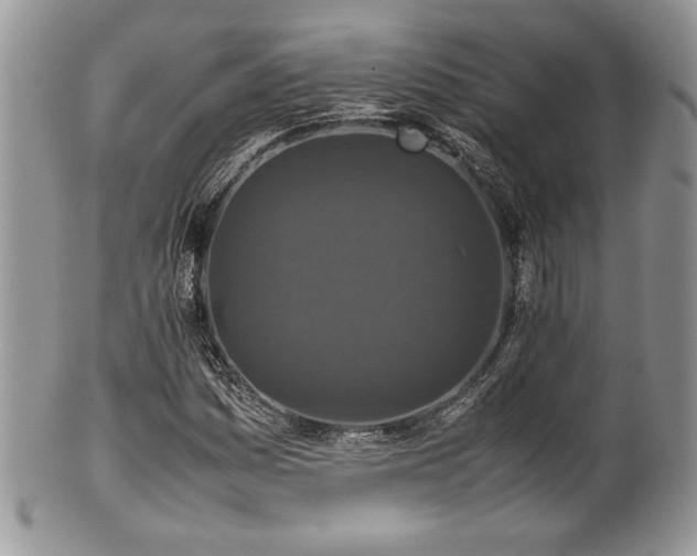 X0000100341161200806051531