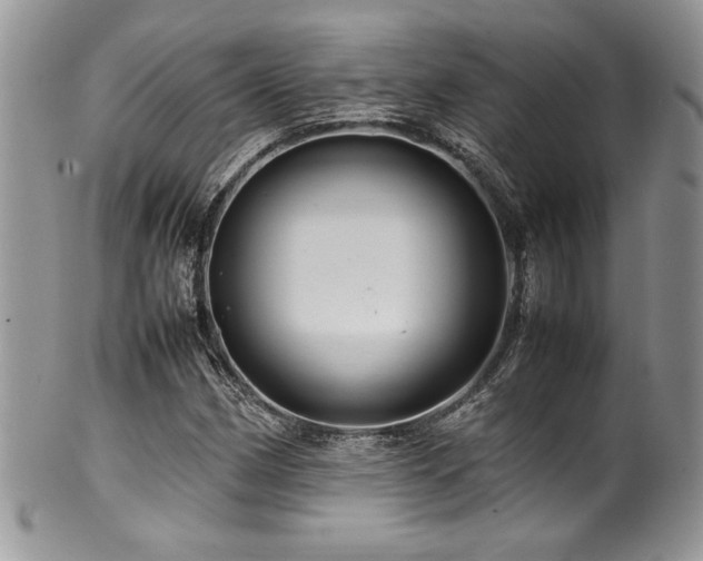 X0000100341162200806051531
