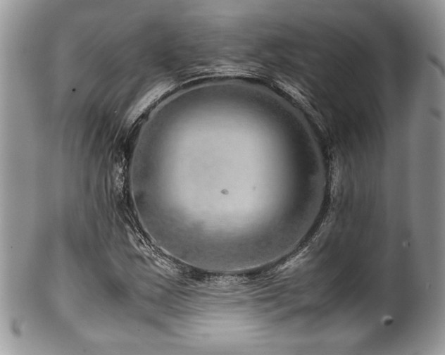 X0000100341163200806051531