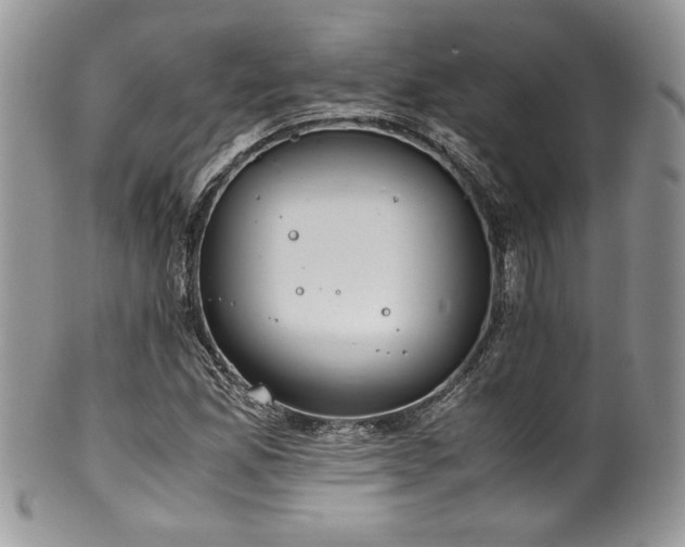 X0000100341165200806051531