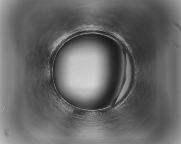 X0000100341167200806051531