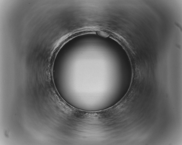 X0000100341168200806051531