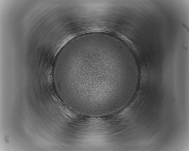 X0000100341170200806051531
