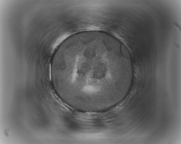 X0000100341171200806051531