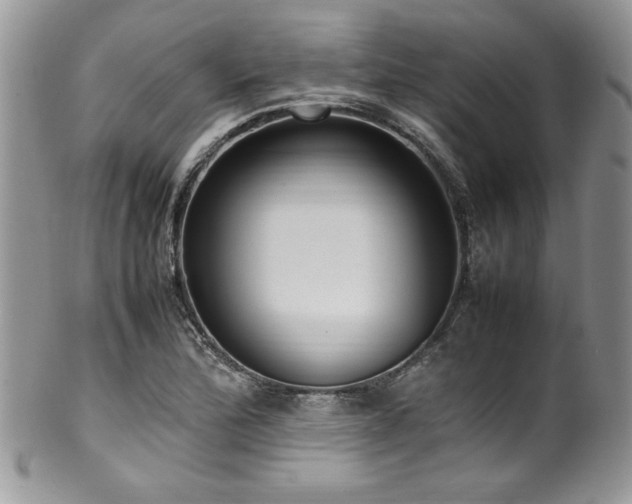 X0000100341172200806051531