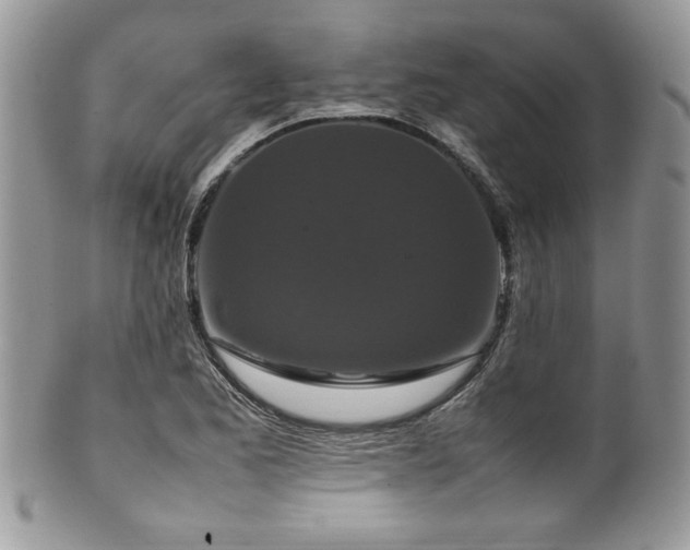 X0000100341173200806051531