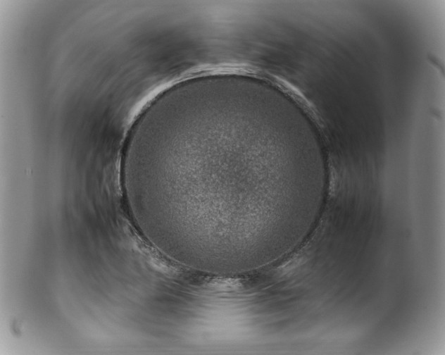 X0000100341174200806051531