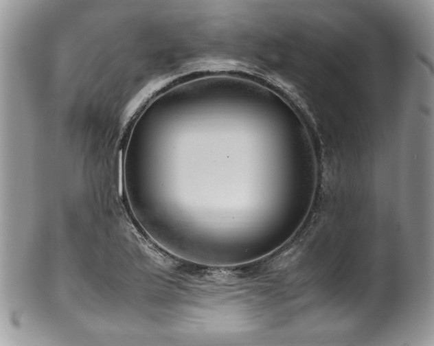 X0000100341175200806051531