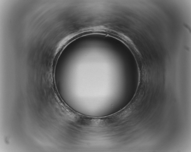 X0000100341176200806051531