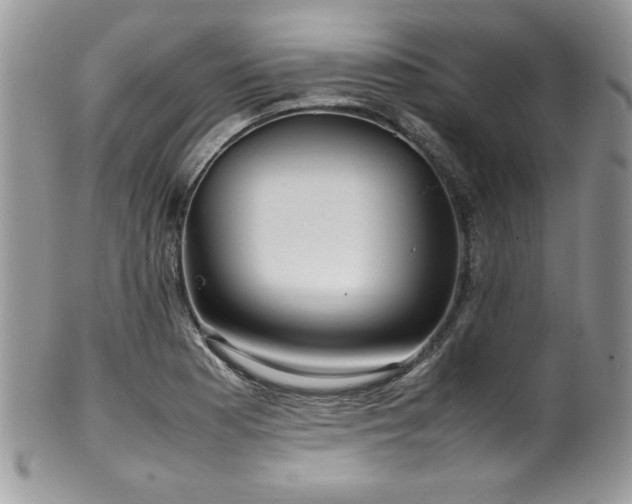 X0000100341177200806051531