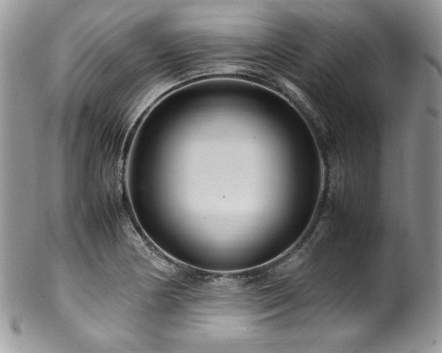 X0000100341178200806051531