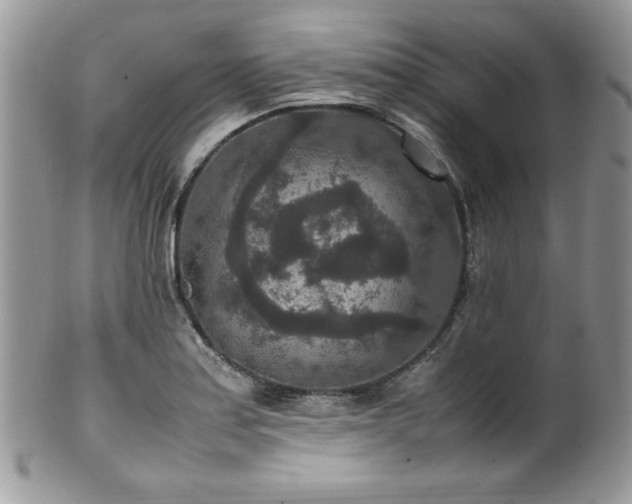 X0000100341179200806051531