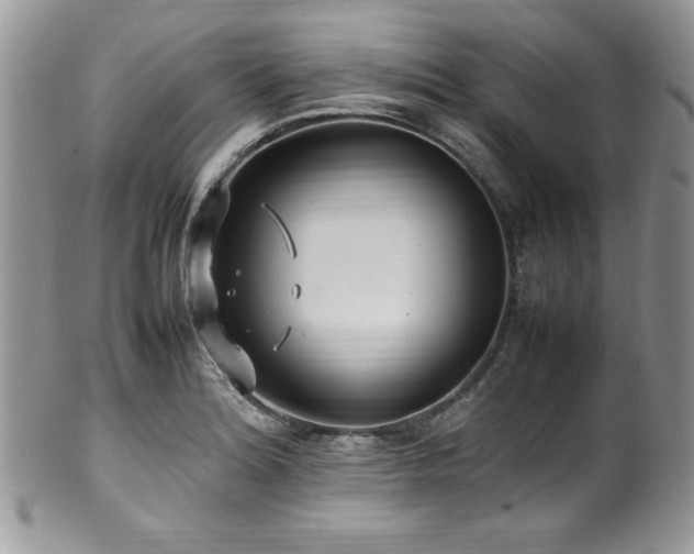 X0000100341180200806051531