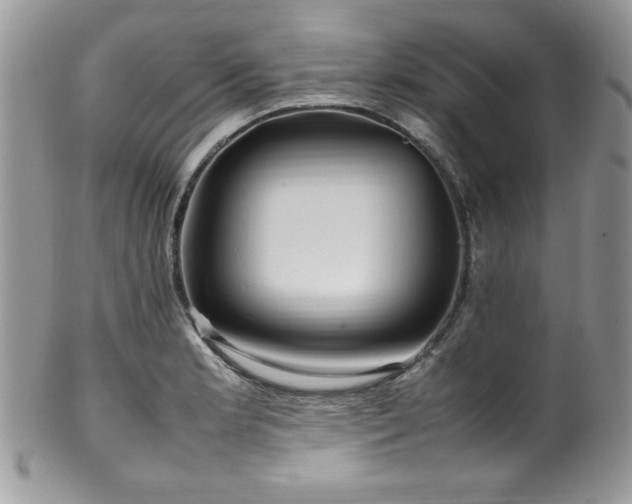 X0000100341181200806051531