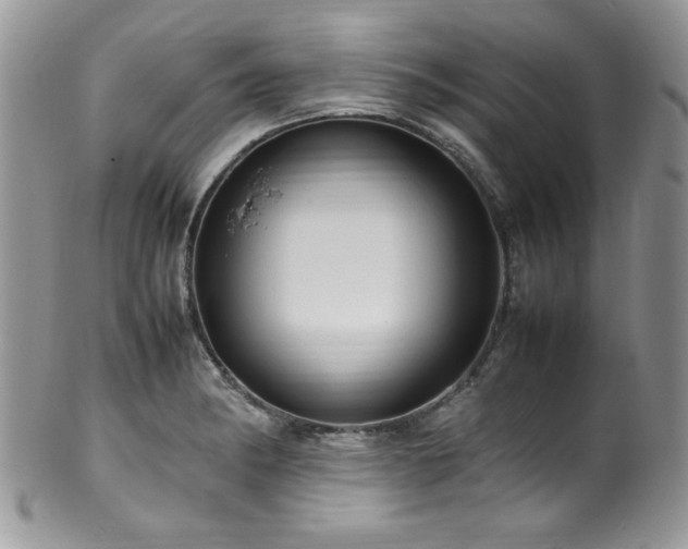 X0000100341182200806051531
