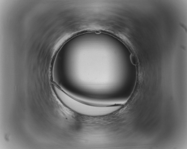 X0000100341183200806051531