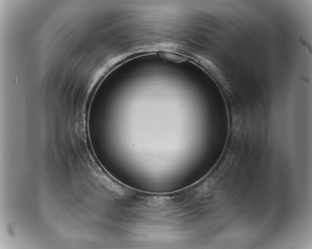 X0000100341184200806051531