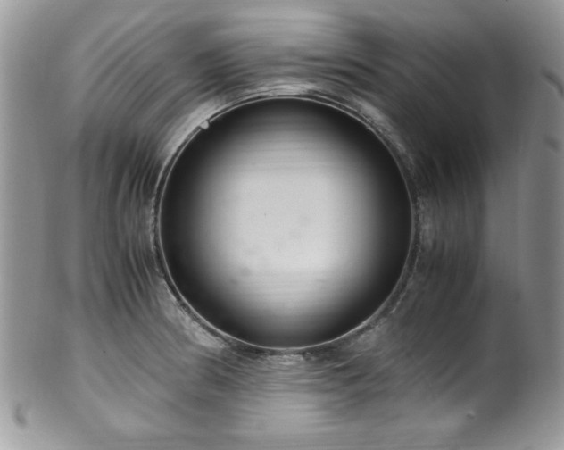 X0000100341186200806051531