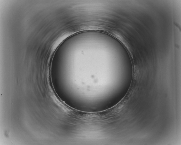 X0000100341187200806051531