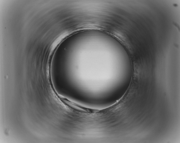 X0000100341188200806051531