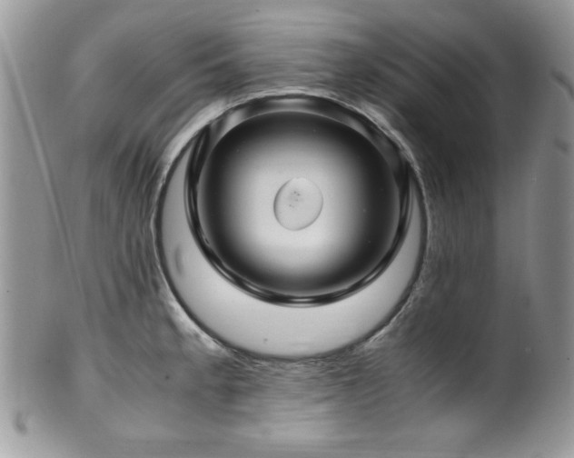 X0000100341189200806051531