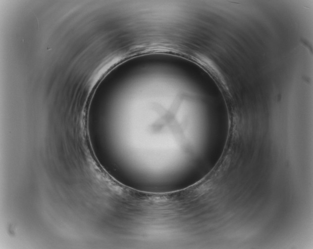 X0000100341190200806051531