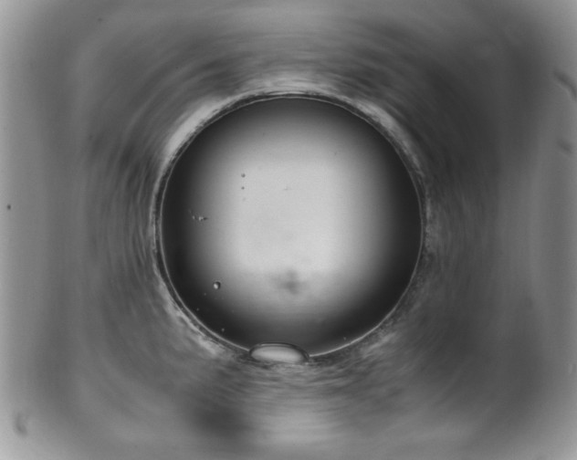 X0000100341191200806051531