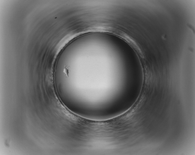 X0000100341192200806051531