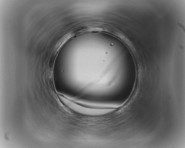 X0000100341193200806051531