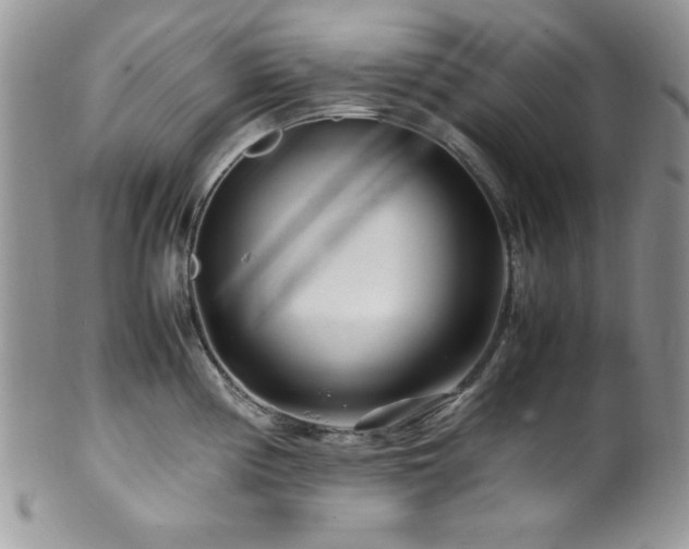 X0000100341194200806051531