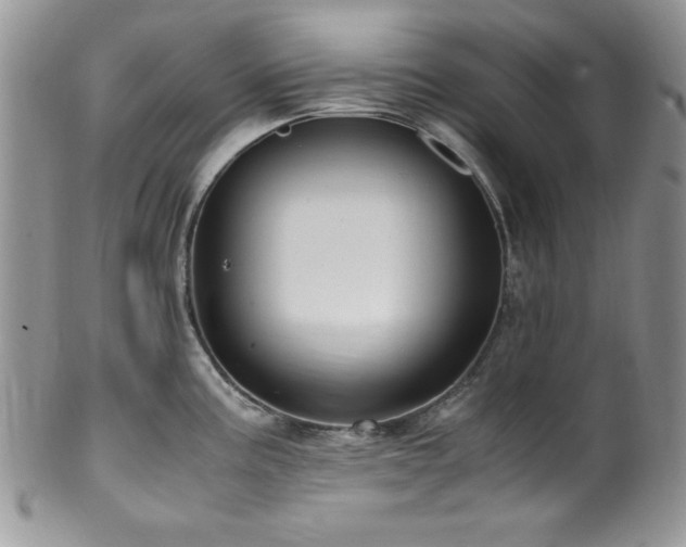 X0000100341195200806051531
