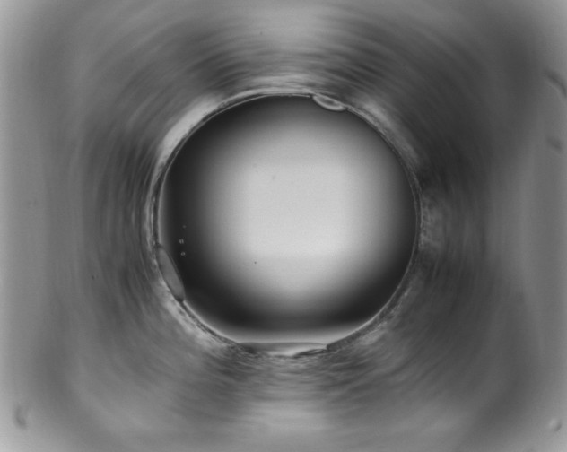 X0000100341196200806051531