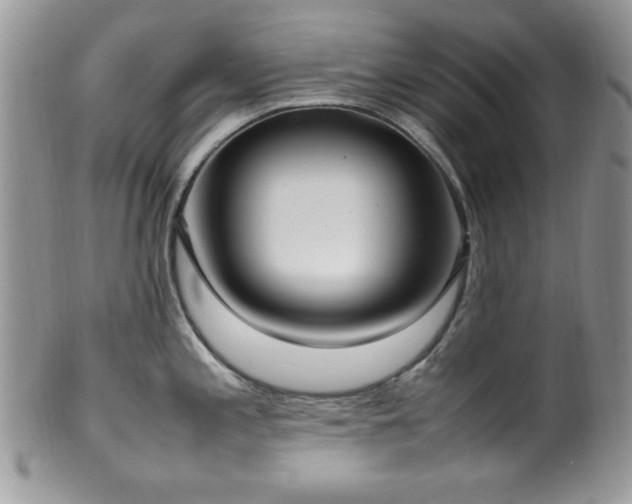 X0000100341197200806051531