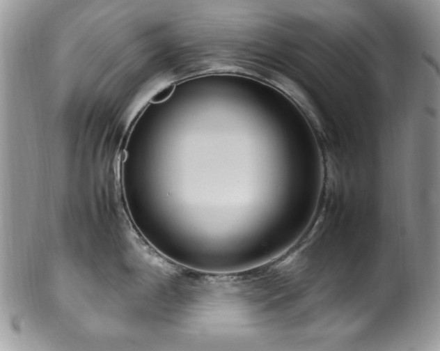 X0000100341198200806051531