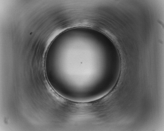 X0000100341200200806051531