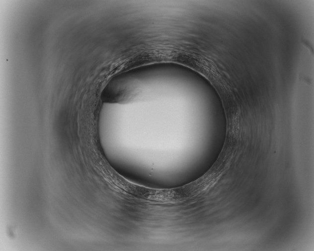 X0000100341201200806051530