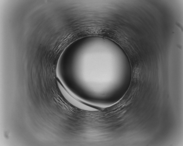 X0000100341202200806051530