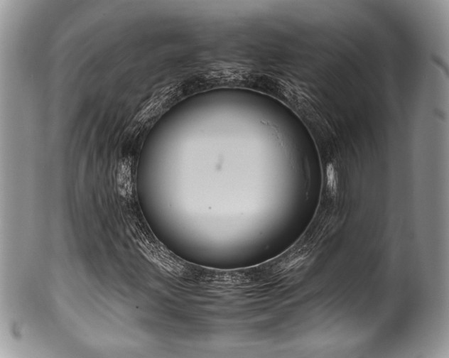 X0000100341203200806051530