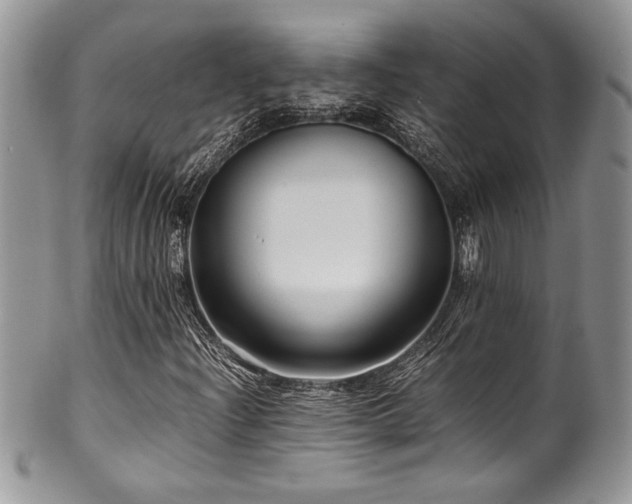 X0000100341204200806051530
