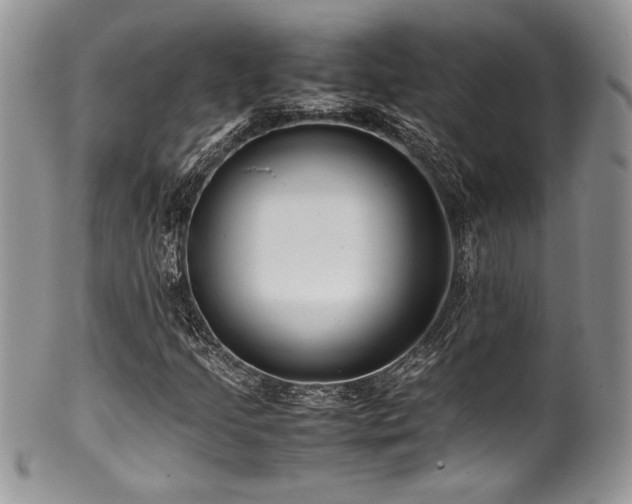 X0000100341205200806051530