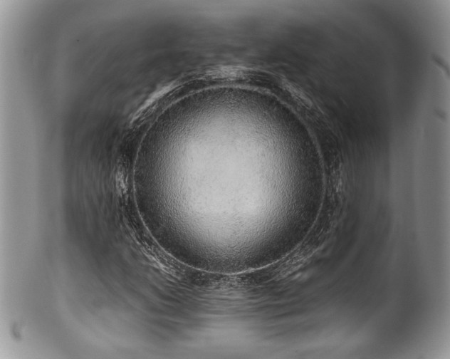 X0000100341206200806051530