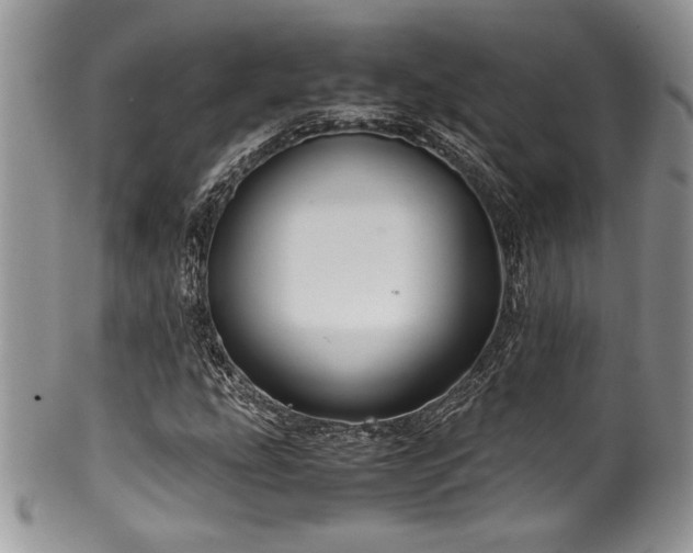 X0000100341207200806051530